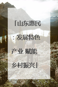 山东惠民：发展特色产业 赋能乡村振兴
