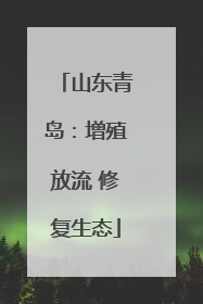 山东青岛：增殖放流 修复生态