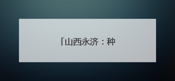 山西永济：种粮大户收获忙