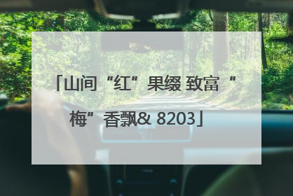 山间“红”果缀 致富“梅”香飘& 8203