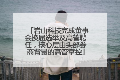 岩山科技完成董事会换届选举及高管聘任，核心层由头部券商背景的高管掌控