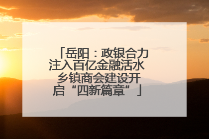 岳阳：政银合力注入百亿金融活水 乡镇商会建设开启“四新篇章”
