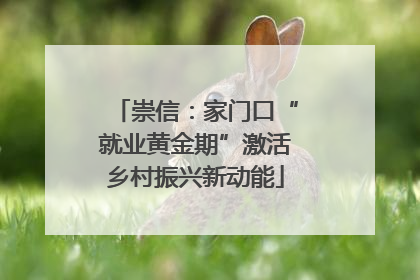 崇信：家门口“就业黄金期”激活乡村振兴新动能