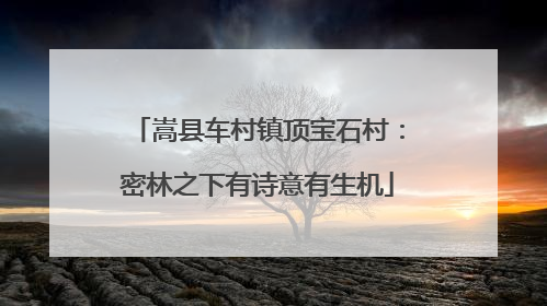 嵩县车村镇顶宝石村：密林之下有诗意有生机