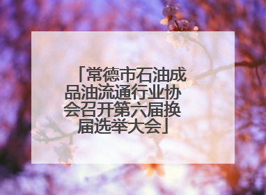 常德市石油成品油流通行业协会召开第六届换届选举大会