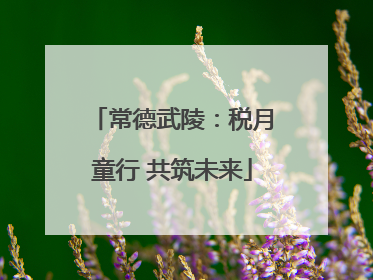 常德武陵：税月童行 共筑未来