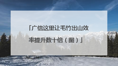 广信这里让毛竹出山效率提升数十倍（图）
