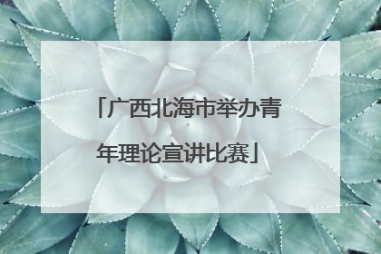 广西北海市举办青年理论宣讲比赛
