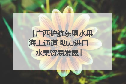 广西护航东盟水果海上通道 助力进口水果贸易发展