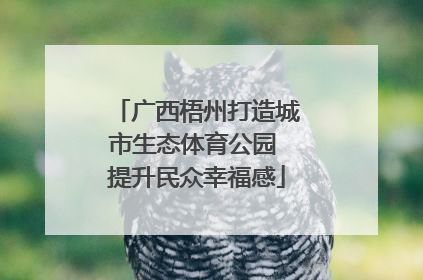 广西梧州打造城市生态体育公园 提升民众幸福感