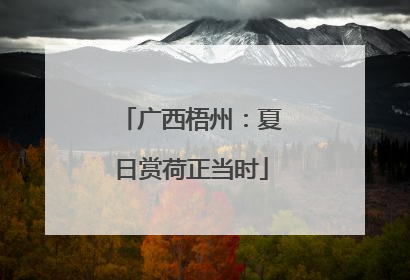 广西梧州：夏日赏荷正当时