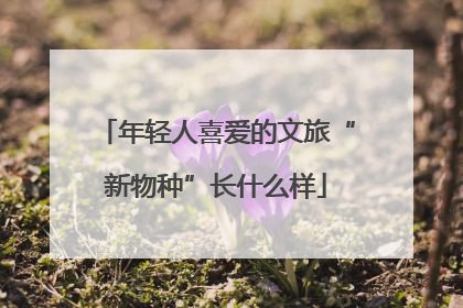 年轻人喜爱的文旅“新物种”长什么样