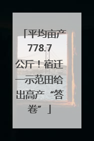 平均亩产778.7公斤！宿迁一示范田给出高产“答卷”