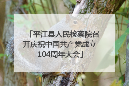 平江县人民检察院召开庆祝中国共产党成立104周年大会