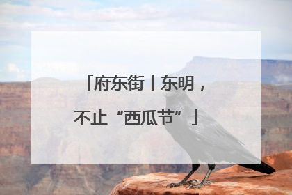 府东街丨东明，不止“西瓜节”
