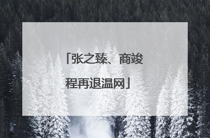 张之臻、商竣程再退温网