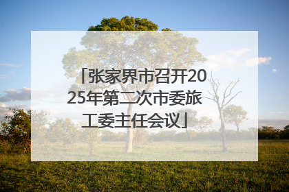 张家界市召开2025年第二次市委旅工委主任会议