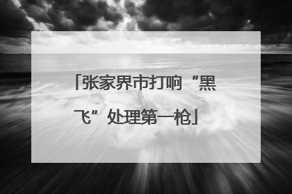 张家界市打响“黑飞”处理第一枪
