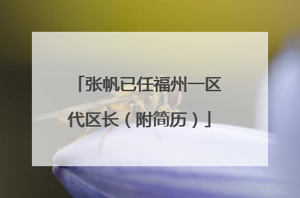 张帆已任福州一区代区长（附简历）