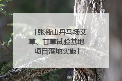 张掖山丹马场艾草、甘草试验基地项目落地实施