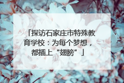 探访石家庄市特殊教育学校：为每个梦想，都插上“翅膀”