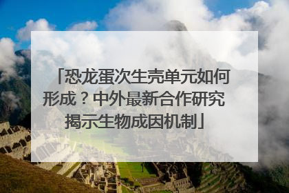 恐龙蛋次生壳单元如何形成？中外最新合作研究揭示生物成因机制