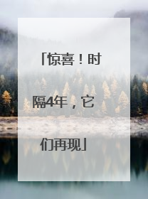 惊喜！时隔4年，它们再现