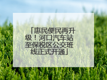 惠民便民再升级！河口汽车站至保税区公交班线正式开通