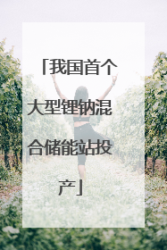 我国首个大型锂钠混合储能站投产