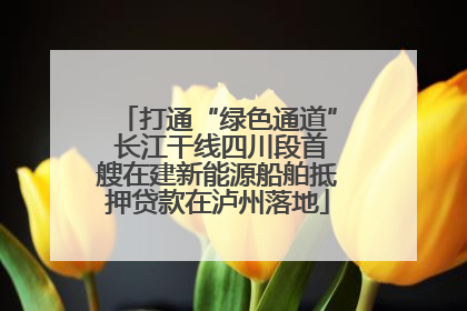 打通“绿色通道” 长江干线四川段首艘在建新能源船舶抵押贷款在泸州落地