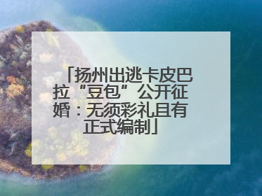 扬州出逃卡皮巴拉“豆包”公开征婚：无须彩礼且有正式编制