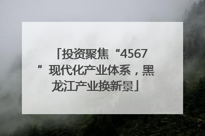 投资聚焦“4567”现代化产业体系，黑龙江产业换新景