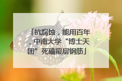 抗腐蚀，能用百年，中南大学“博士天团”死磕覆层钢筋