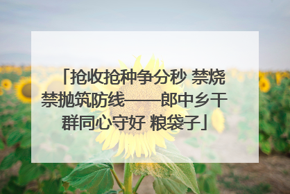 抢收抢种争分秒 禁烧禁抛筑防线——郎中乡干群同心守好 粮袋子