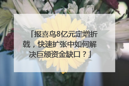 报喜鸟8亿元定增折戟，快速扩张中如何解决巨额资金缺口？