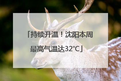 持续升温！沈阳本周最高气温达32℃