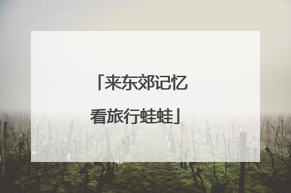 来东郊记忆 看旅行蛙蛙