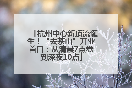 杭州中心新顶流诞生！“去茶山”开业首日：从清晨7点卷到深夜10点