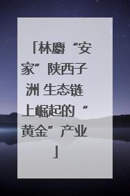 林麝“安家”陕西子洲 生态链上崛起的“黄金”产业