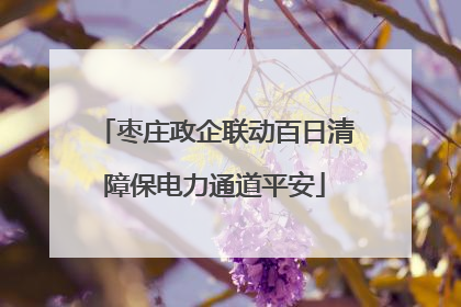枣庄政企联动百日清障保电力通道平安