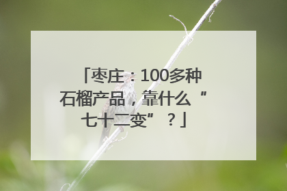 枣庄：100多种石榴产品，靠什么“七十二变”？