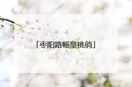 枣阳路畅皇桃俏