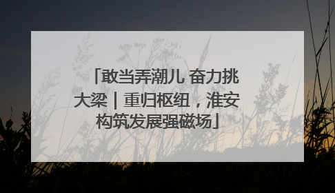 敢当弄潮儿 奋力挑大梁｜重归枢纽，淮安构筑发展强磁场