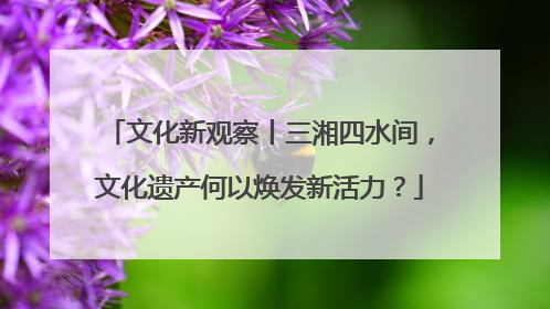 文化新观察丨三湘四水间，文化遗产何以焕发新活力？