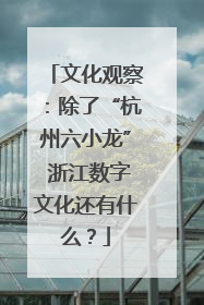 文化观察：除了“杭州六小龙” 浙江数字文化还有什么？