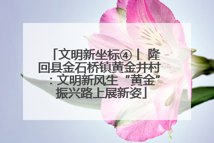 文明新坐标④丨 隆回县金石桥镇黄金井村：文明新风生“黄金” 振兴路上展新姿