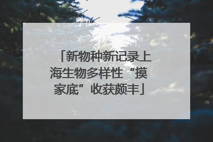 新物种新记录上海生物多样性“摸家底”收获颇丰
