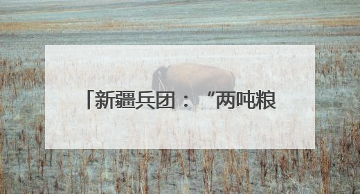 新疆兵团：“两吨粮田”示范田创高产