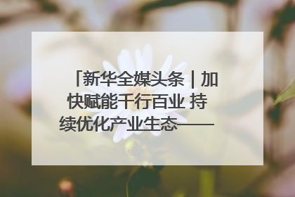 新华全媒头条｜加快赋能千行百业 持续优化产业生态——浙江推动人工智能健康有序发展观察