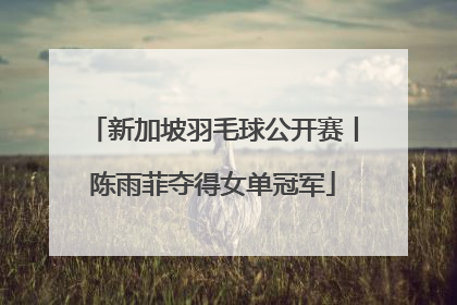 新加坡羽毛球公开赛丨陈雨菲夺得女单冠军